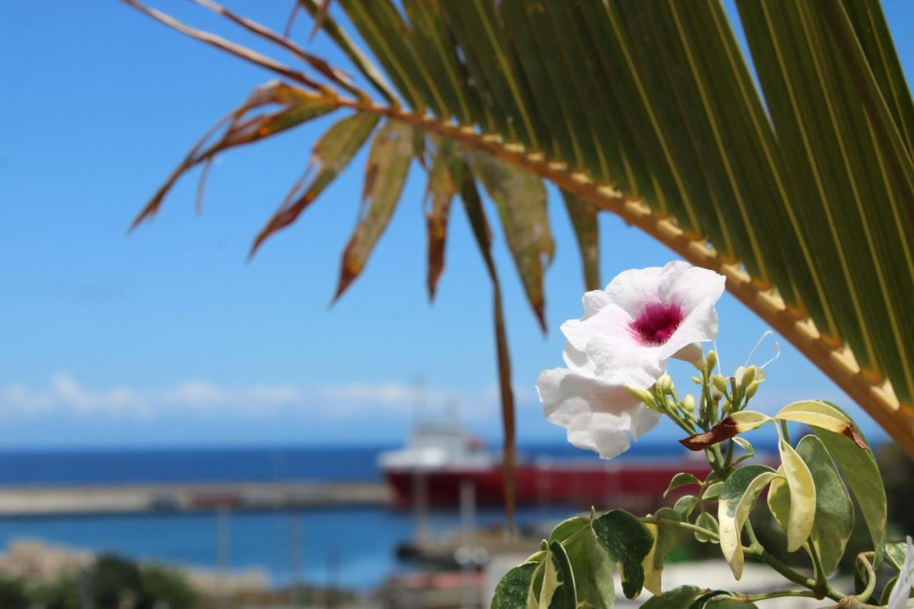 Apartmán Terraza Del Atlantico, Un Oasis En La Ciudad Santa Cruz de Tenerife Exteriér fotografie
